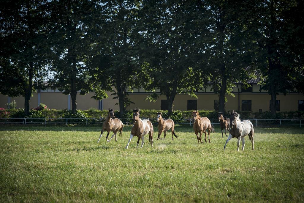 Agriturismo Tenuta "Il Cigno" Villanterio Екстериор снимка