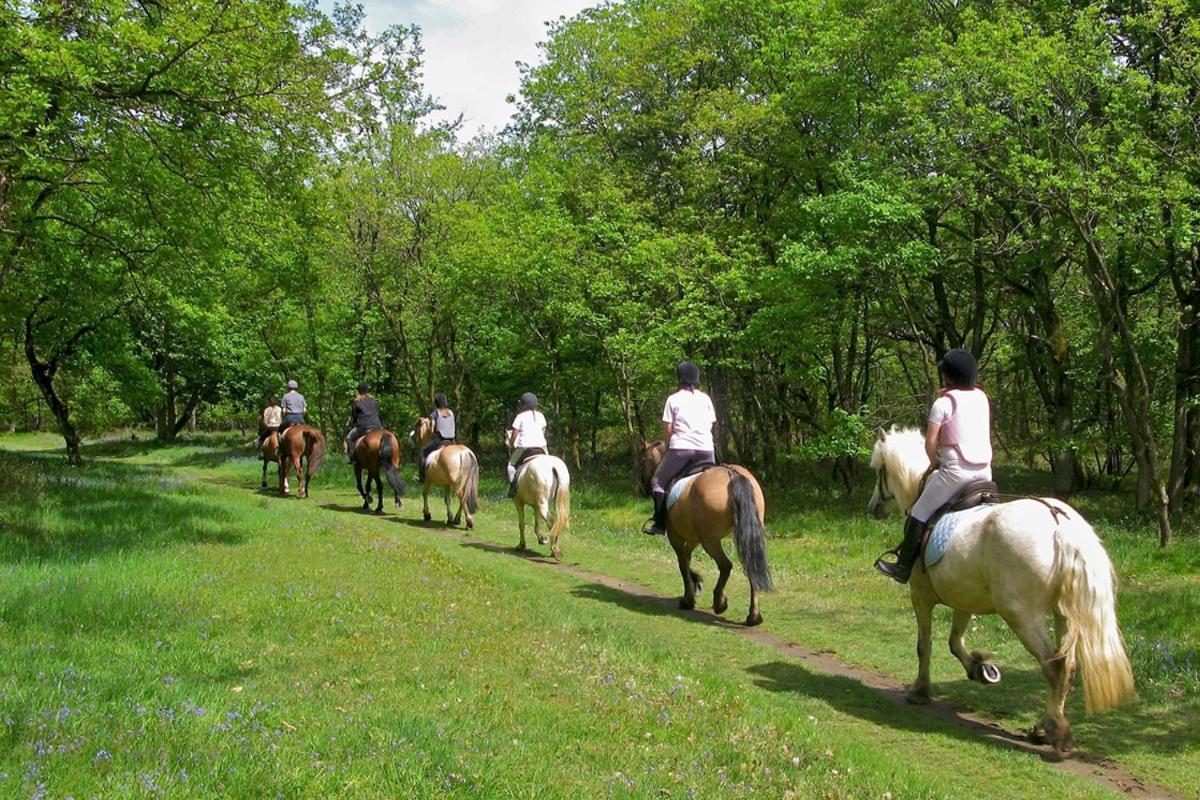 Agriturismo Tenuta "Il Cigno" Villanterio Екстериор снимка